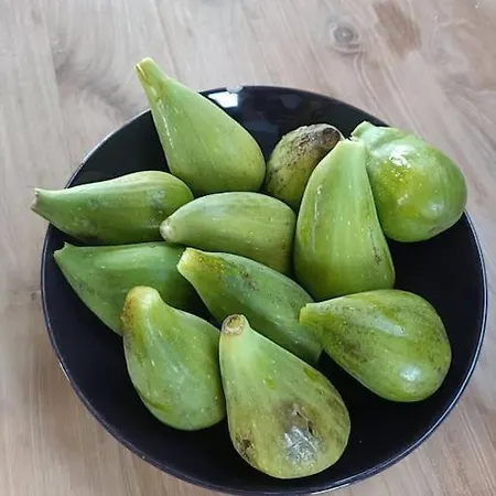 Hébergement de vacances 100% Vacation Feeling By The Waterside: Pian'eau *