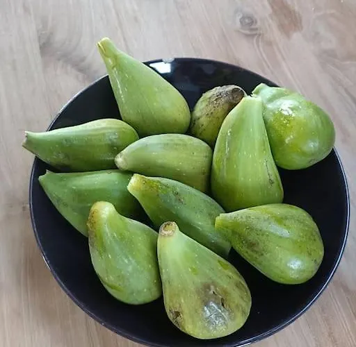 Tatil Evi 100% Vacation Feeling By The Waterside: Pian'eau *